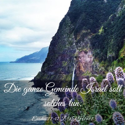 Picture 03 - Exodus 12:47 LUTH1912 - Die ganze Gemeinde Israel soll solches - Bible Verse Picture