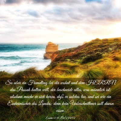 Picture 03 - Exodus 12:48 LUTH1912 - So aber ein Fremdling bei dir wohnt und dem HERRN - Bible Verse Picture