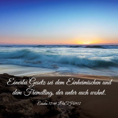 Picture 03 - Exodus 12:49 LUTH1912 - Einerlei Gesetz sei dem Einheimischen und dem - Bible Verse Picture