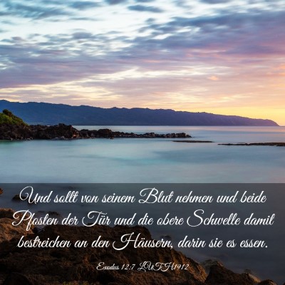 Picture 03 - Exodus 12:7 LUTH1912 - Und sollt von seinem Blut nehmen und beide - Bible Verse Picture