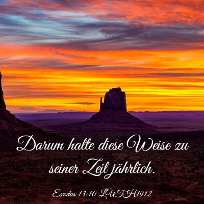 Picture 03 - Exodus 13:10 LUTH1912 - Darum halte diese Weise zu seiner Zeit - Bible Verse Picture