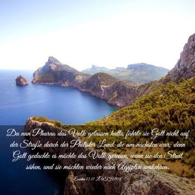 Picture 03 - Exodus 13:17 LUTH1912 - Da nun Pharao das Volk gelassen hatte, führte - Bible Verse Picture