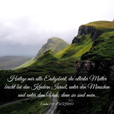 Picture 03 - Exodus 13:2 LUTH1912 - Heilige mir alle Erstgeburt, die allerlei Mutter - Bible Verse Picture