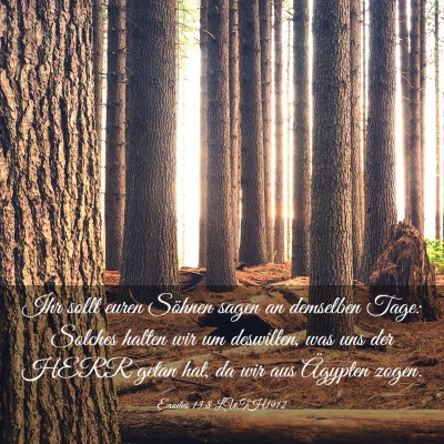 Picture 03 - Exodus 13:8 LUTH1912 - Ihr sollt euren Söhnen sagen an demselben Tage: - Bible Verse Picture
