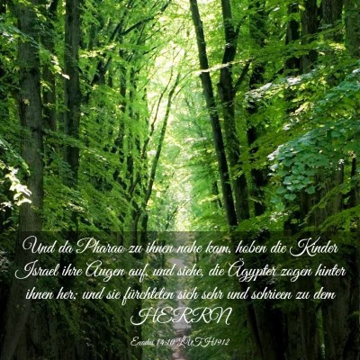 Picture 03 - Exodus 14:10 LUTH1912 - Und da Pharao zu ihnen nahe kam, hoben die Kinder - Bible Verse Picture