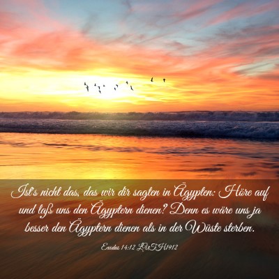 Picture 03 - Exodus 14:12 LUTH1912 - Ist's nicht das, das wir dir sagten in Ägypten: - Bible Verse Picture