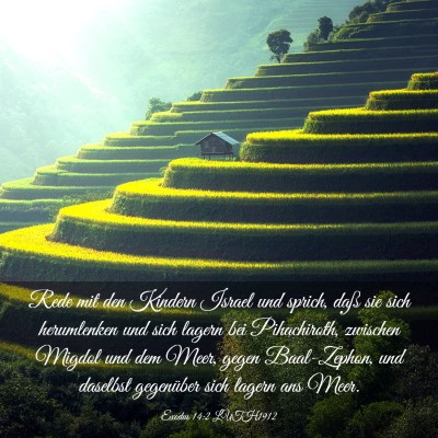 Picture 03 - Exodus 14:2 LUTH1912 - Rede mit den Kindern Israel und sprich, daß sie - Bible Verse Picture