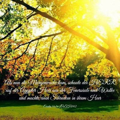 Picture 03 - Exodus 14:24 LUTH1912 - Als nun die Morgenwache kam, schaute der HERR auf - Bible Verse Picture