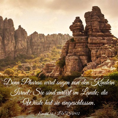 Picture 03 - Exodus 14:3 LUTH1912 - Denn Pharao wird sagen von den Kindern Israel: - Bible Verse Picture