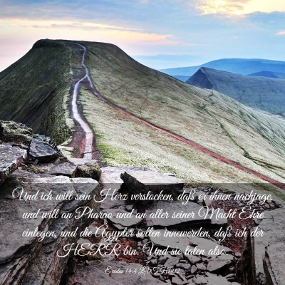 Picture 03 - Exodus 14:4 LUTH1912 - Und ich will sein Herz verstocken, daß er ihnen - Bible Verse Picture