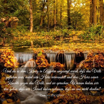 Picture 03 - Exodus 14:5 LUTH1912 - Und da es dem König in Ägypten angesagt ward, - Bible Verse Picture