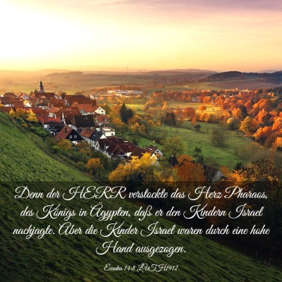 Picture 03 - Exodus 14:8 LUTH1912 - Denn der HERR verstockte das Herz Pharaos, des - Bible Verse Picture