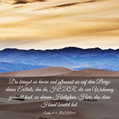 Picture 03 - Exodus 15:17 LUTH1912 - Du bringst sie hinein und pflanzest sie auf dem - Bible Verse Picture