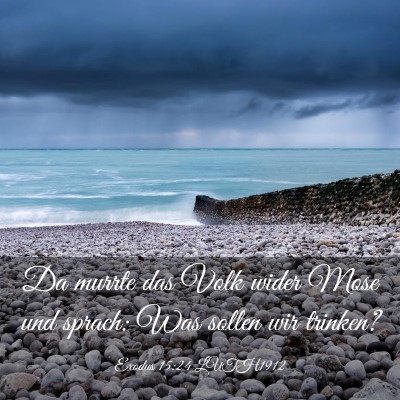 Picture 03 - Exodus 15:24 LUTH1912 - Da murrte das Volk wider Mose und sprach: Was - Bible Verse Picture