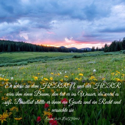 Picture 03 - Exodus 15:25 LUTH1912 - Er schrie zu dem HERRN, und der HERR wies ihm - Bible Verse Picture