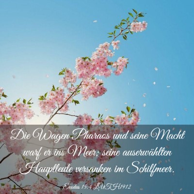 Picture 03 - Exodus 15:4 LUTH1912 - Die Wagen Pharaos und seine Macht warf er ins - Bible Verse Picture
