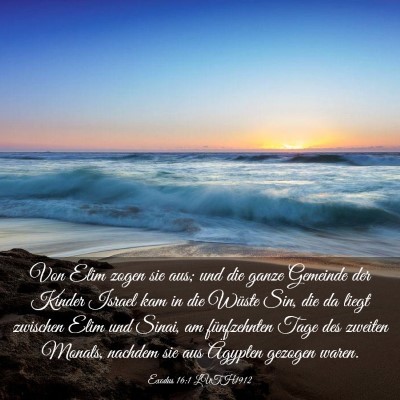 Picture 03 - Exodus 16:1 LUTH1912 - Von Elim zogen sie aus; und die ganze Gemeinde - Bible Verse Picture