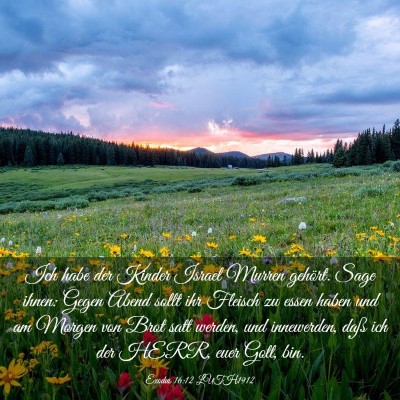 Picture 03 - Exodus 16:12 LUTH1912 - Ich habe der Kinder Israel Murren gehört. Sage - Bible Verse Picture