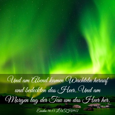 Picture 03 - Exodus 16:13 LUTH1912 - Und am Abend kamen Wachteln herauf und bedeckten - Bible Verse Picture