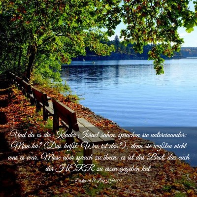Picture 03 - Exodus 16:15 LUTH1912 - Und da es die Kinder Israel sahen, sprachen sie - Bible Verse Picture