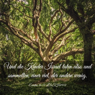 Picture 03 - Exodus 16:17 LUTH1912 - Und die Kinder Israel taten also und sammelten, - Bible Verse Picture