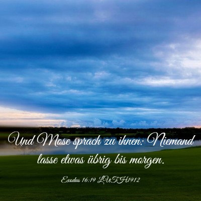 Picture 03 - Exodus 16:19 LUTH1912 - Und Mose sprach zu ihnen: Niemand lasse etwas - Bible Verse Picture