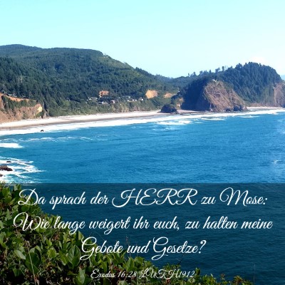 Picture 03 - Exodus 16:28 LUTH1912 - Da sprach der HERR zu Mose: Wie lange weigert ihr - Bible Verse Picture