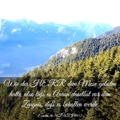 Picture 03 - Exodus 16:34 LUTH1912 - Wie der HERR dem Mose geboten hatte, also ließ - Bible Verse Picture