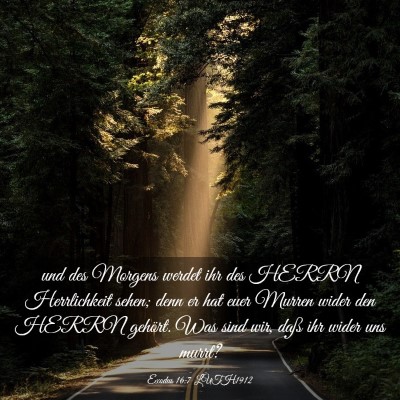 Picture 03 - Exodus 16:7 LUTH1912 - und des Morgens werdet ihr des HERRN Herrlichkeit - Bible Verse Picture