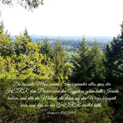 Picture 03 - Exodus 18:8 LUTH1912 - Da erzählte Mose seinem Schwiegervater alles, - Bible Verse Picture