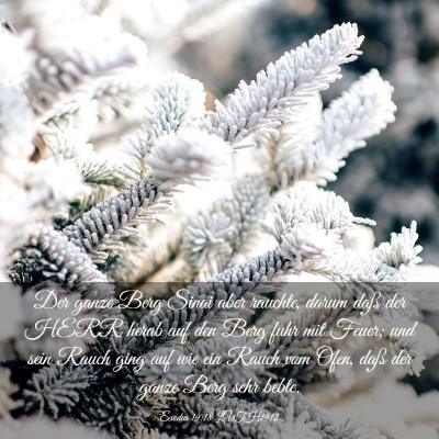 Picture 03 - Exodus 19:18 LUTH1912 - Der ganze Berg Sinai aber rauchte, darum daß der - Bible Verse Picture