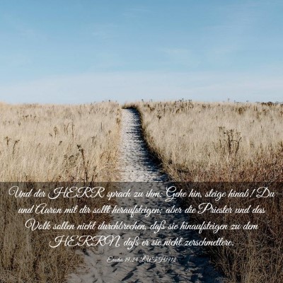 Picture 03 - Exodus 19:24 LUTH1912 - Und der HERR sprach zu ihm: Gehe hin, steige - Bible Verse Picture