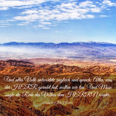 Picture 03 - Exodus 19:8 LUTH1912 - Und alles Volk antwortete zugleich und sprach: - Bible Verse Picture