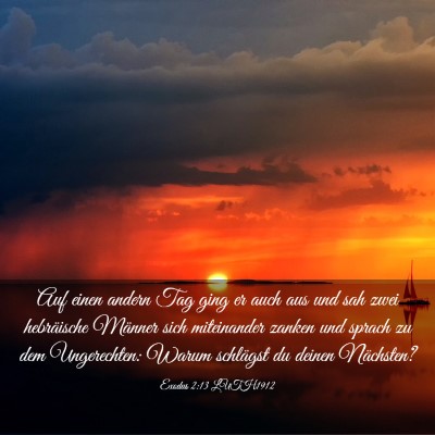 Picture 03 - Exodus 2:13 LUTH1912 - Auf einen andern Tag ging er auch aus und sah - Bible Verse Picture