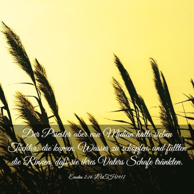 Picture 03 - Exodus 2:16 LUTH1912 - Der Priester aber von Midian hatte sieben - Bible Verse Picture
