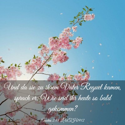 Picture 03 - Exodus 2:18 LUTH1912 - Und da sie zu ihrem Vater Reguel kamen, sprach - Bible Verse Picture