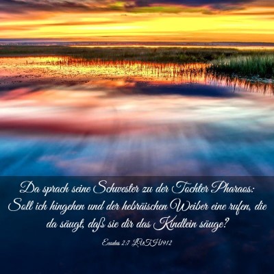 Picture 03 - Exodus 2:7 LUTH1912 - Da sprach seine Schwester zu der Tochter Pharaos: - Bible Verse Picture