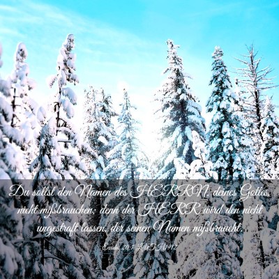 Picture 03 - Exodus 20:7 LUTH1912 - Du sollst den Namen des HERRN, deines Gottes, - Bible Verse Picture