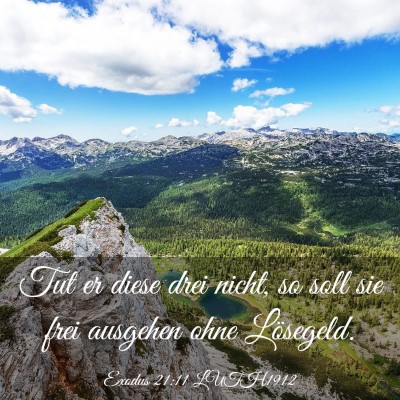 Picture 03 - Exodus 21:11 LUTH1912 - Tut er diese drei nicht, so soll sie frei - Bible Verse Picture