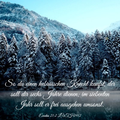 Picture 03 - Exodus 21:2 LUTH1912 - So du einen hebräischen Knecht kaufst, der soll - Bible Verse Picture