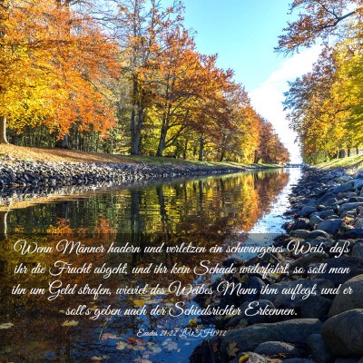 Picture 03 - Exodus 21:22 LUTH1912 - Wenn Männer hadern und verletzen ein schwangeres - Bible Verse Picture