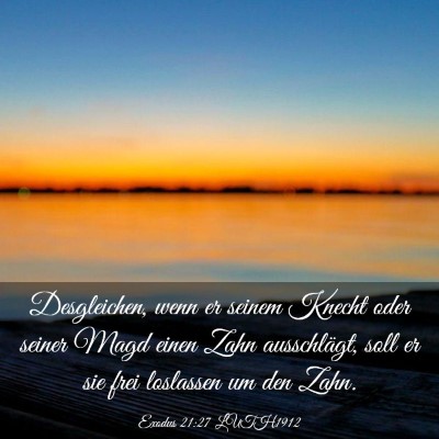 Picture 03 - Exodus 21:27 LUTH1912 - Desgleichen, wenn er seinem Knecht oder seiner - Bible Verse Picture
