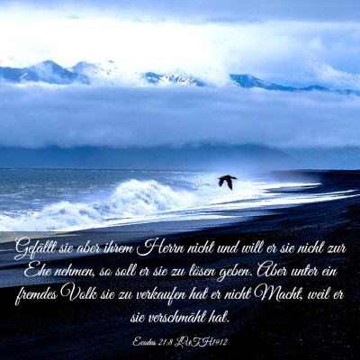 Picture 03 - Exodus 21:8 LUTH1912 - Gefällt sie aber ihrem Herrn nicht und will er - Bible Verse Picture