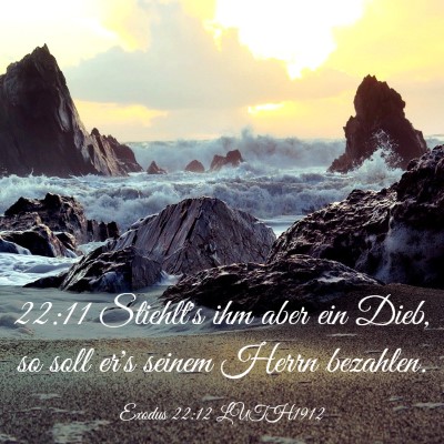 Picture 03 - Exodus 22:12 LUTH1912 - 22:11 Stiehlt's ihm aber ein Dieb, so soll er's - Bible Verse Picture
