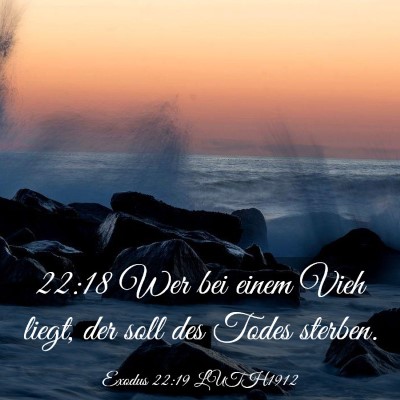 Picture 03 - Exodus 22:19 LUTH1912 - 22:18 Wer bei einem Vieh liegt, der soll des - Bible Verse Picture