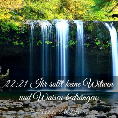 Picture 03 - Exodus 22:22 LUTH1912 - 22:21 Ihr sollt keine Witwen und Waisen - Bible Verse Picture