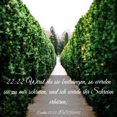 Picture 03 - Exodus 22:23 LUTH1912 - 22:22 Wirst du sie bedrängen, so werden sie zu - Bible Verse Picture
