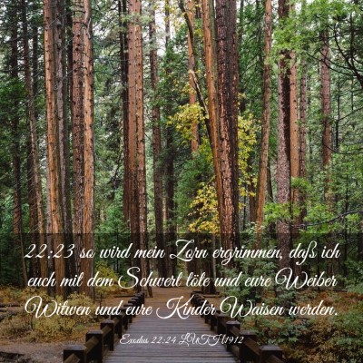 Picture 03 - Exodus 22:24 LUTH1912 - 22:23 so wird mein Zorn ergrimmen, daß ich euch - Bible Verse Picture