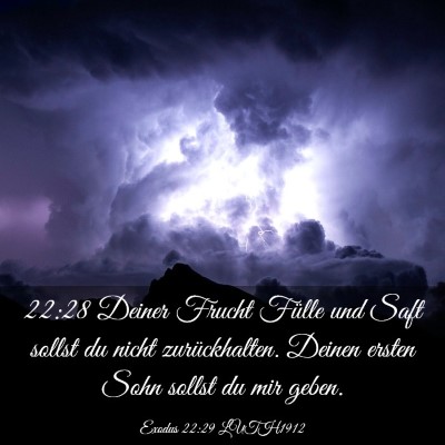 Picture 03 - Exodus 22:29 LUTH1912 - 22:28 Deiner Frucht Fülle und Saft sollst du - Bible Verse Picture