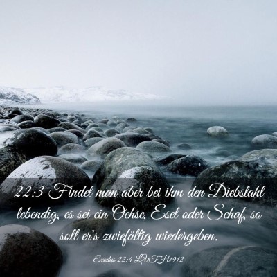 Picture 03 - Exodus 22:4 LUTH1912 - 22:3 Findet man aber bei ihm den Diebstahl - Bible Verse Picture